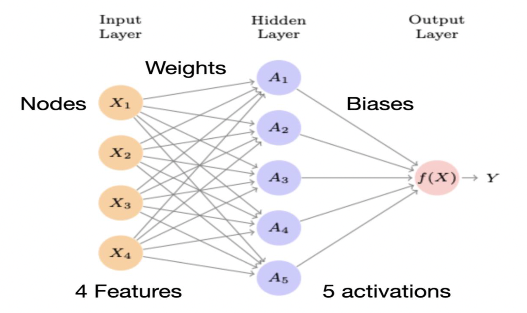 Figure 1: Neural Network Architecture with input, hidden, and output layers.